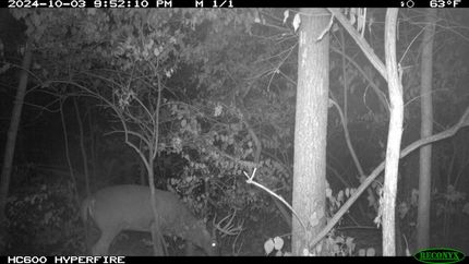 Farm and Ranch in McDonough County, Illinois