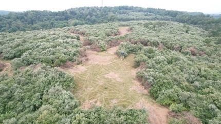 Undeveloped Land for sale in Clearfield County, Pennsylvania