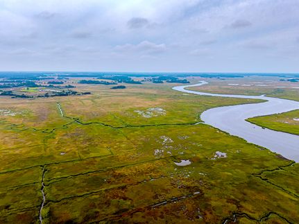 Undeveloped Land for sale in Sussex County, Delaware