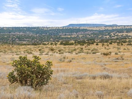 Undeveloped Land for sale in Huerfano County, Colorado