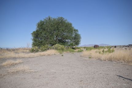 Timberland Property for sale in Millard County, Utah