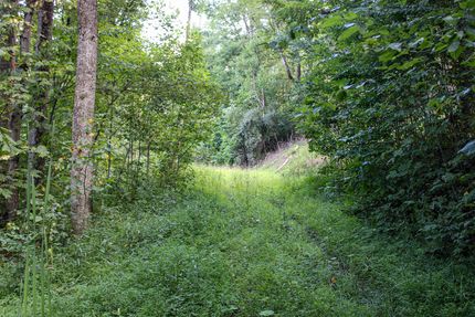 Recreational Property for sale in Preston County, West Virginia