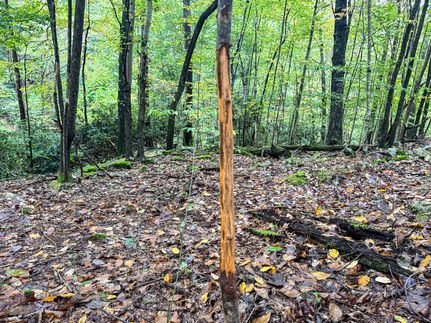 Land for sale in Marion County, West Virginia