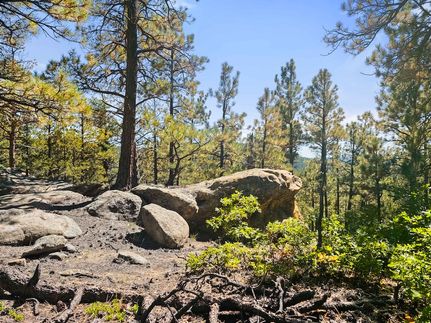 Undeveloped Land for sale in Las Animas County, Colorado