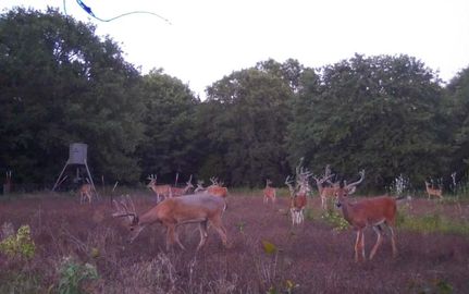 Undeveloped Land in Hughes County, Oklahoma