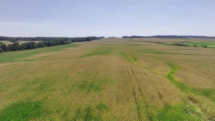 Undeveloped Land for sale in Richland County, Illinois