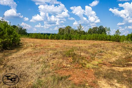 Farm and Ranch for sale in Chester County, Tennessee