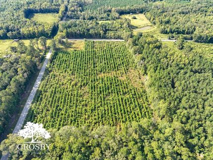 Undeveloped Land in Colleton County, South Carolina