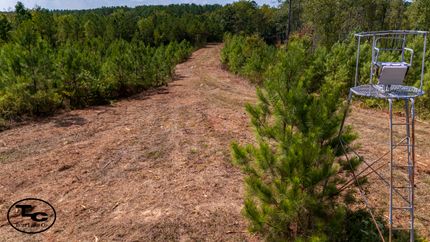 Land for sale in Chester County, Tennessee