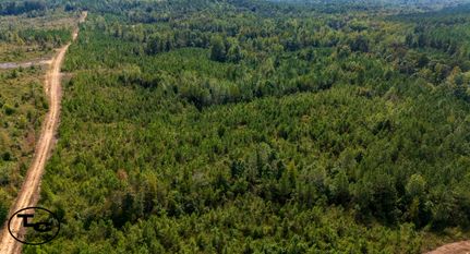 Land for sale in Chester County, Tennessee