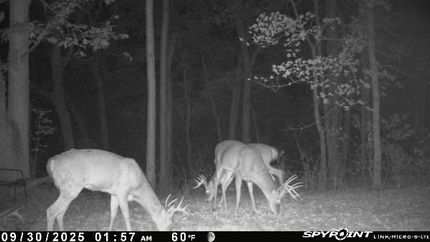 Land for sale in Carroll County, Kentucky