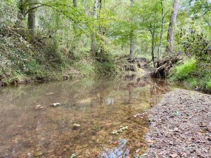Land for sale in Winston County, Mississippi