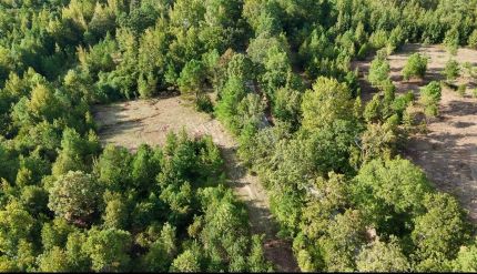 Land for sale in Lafayette County, Mississippi