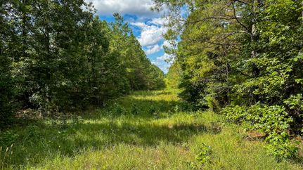 Timberland Property for sale in McNairy County, Tennessee
