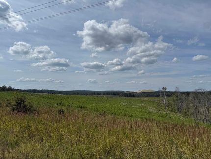 Land for sale in Twiggs County, Georgia