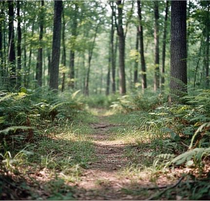 Farm and Ranch for sale in Fayette County, Tennessee