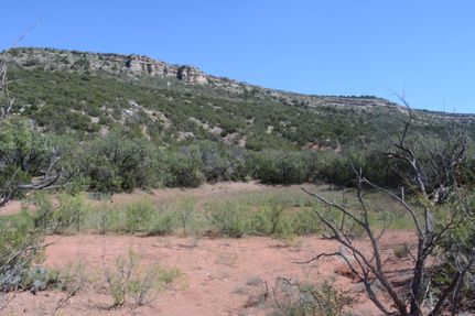 Land for sale in Coke County, Texas