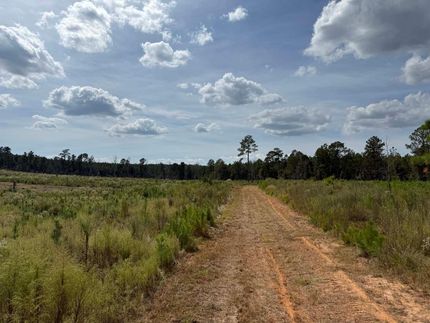 Land for sale in Twiggs County, Georgia