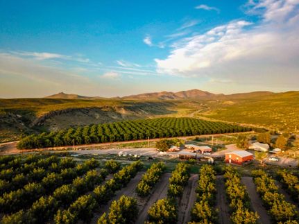 Land for sale in San Juan County, New Mexico