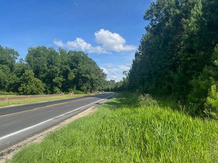 Undeveloped Land for sale in Florence County, South Carolina