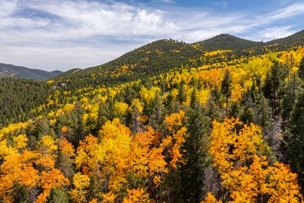 Undeveloped Land for sale in Jefferson County, Colorado