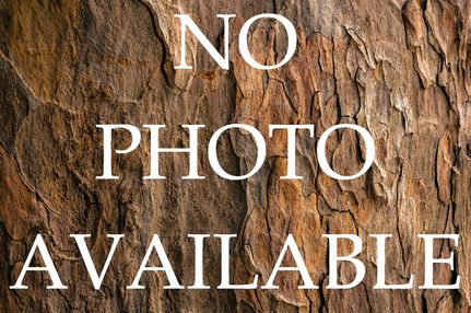 Timberland Property in Coke County, Texas