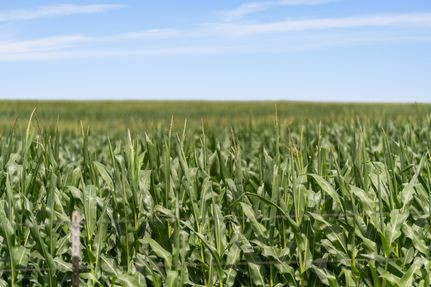 Land for sale in McLennan County, Texas