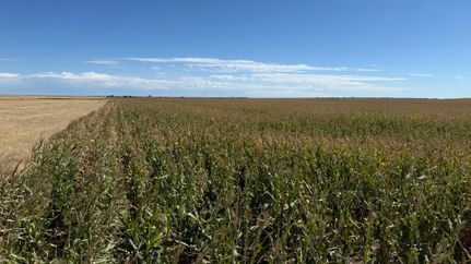 Farm and Ranch for sale in Yuma County, Colorado
