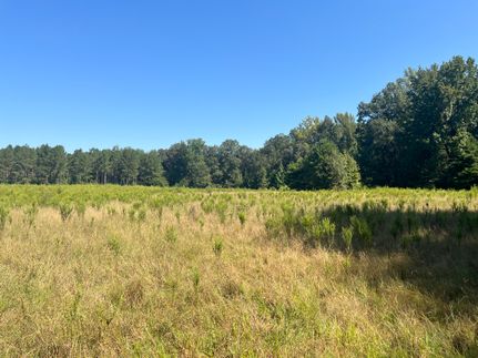 Farm and Ranch for sale in Jasper County, Mississippi