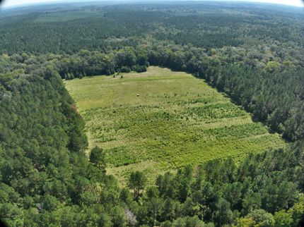 Timberland Property for sale in Jasper County, Mississippi