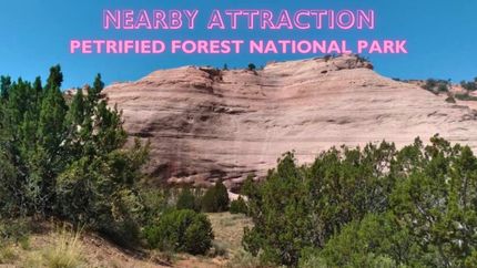 Timberland Property for sale in Navajo County, Arizona