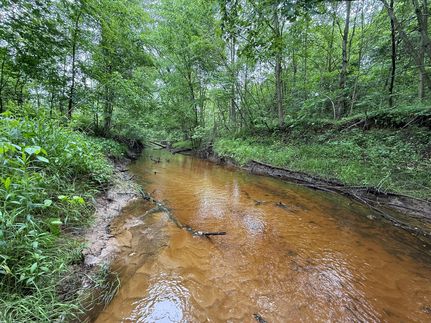 Riverfront Property for sale in Midland County, Michigan