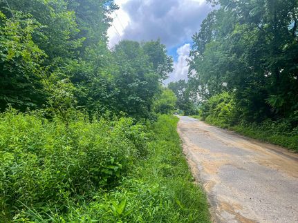 Undeveloped Land in Greene County, Tennessee
