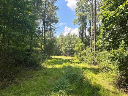 Farm and Ranch in Rankin County, Mississippi