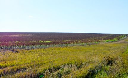 Undeveloped Land for sale in Lyman County, South Dakota