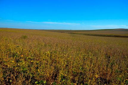 Land for sale in Lyman County, South Dakota