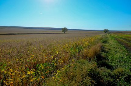 Farm and Ranch for sale in Lyman County, South Dakota