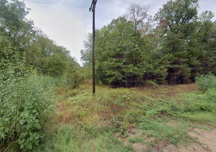 Undeveloped Land in Liberty County, Texas