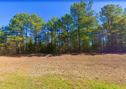 Undeveloped Land for sale in Marion County, Texas