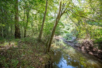 Land for sale in Tyler County, Texas