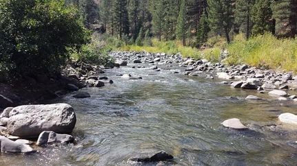 Undeveloped Land for sale in Alpine County, California