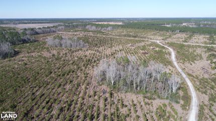 Land for sale in Wayne County, Georgia