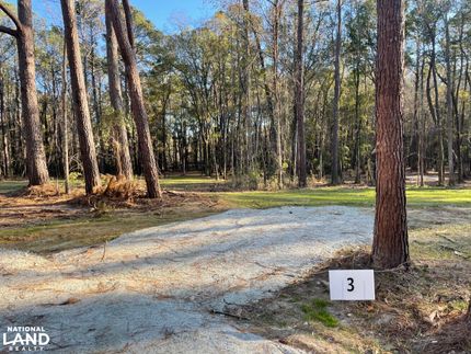 Undeveloped Land for sale in Berkeley County, South Carolina