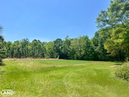 Farm and Ranch for sale in Conecuh County, Alabama