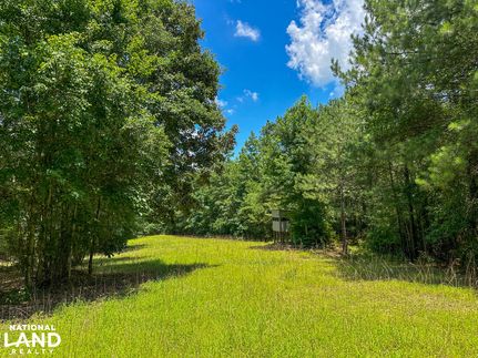 Land for sale in Perry County, Alabama