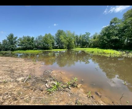Undeveloped Land for sale in Arkansas County, Arkansas