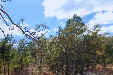 Recreational Property for sale in Putnam County, Florida