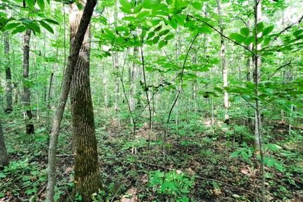 Undeveloped Land for sale in Todd County, Minnesota