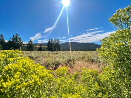 Land for sale in Okanogan County, Washington