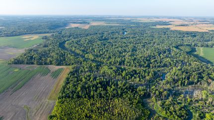 Farm and Ranch for sale in Wayne County, Illinois